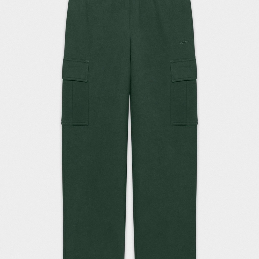Aritzia TNA cozy sweat fleece mega cargo sweat pants